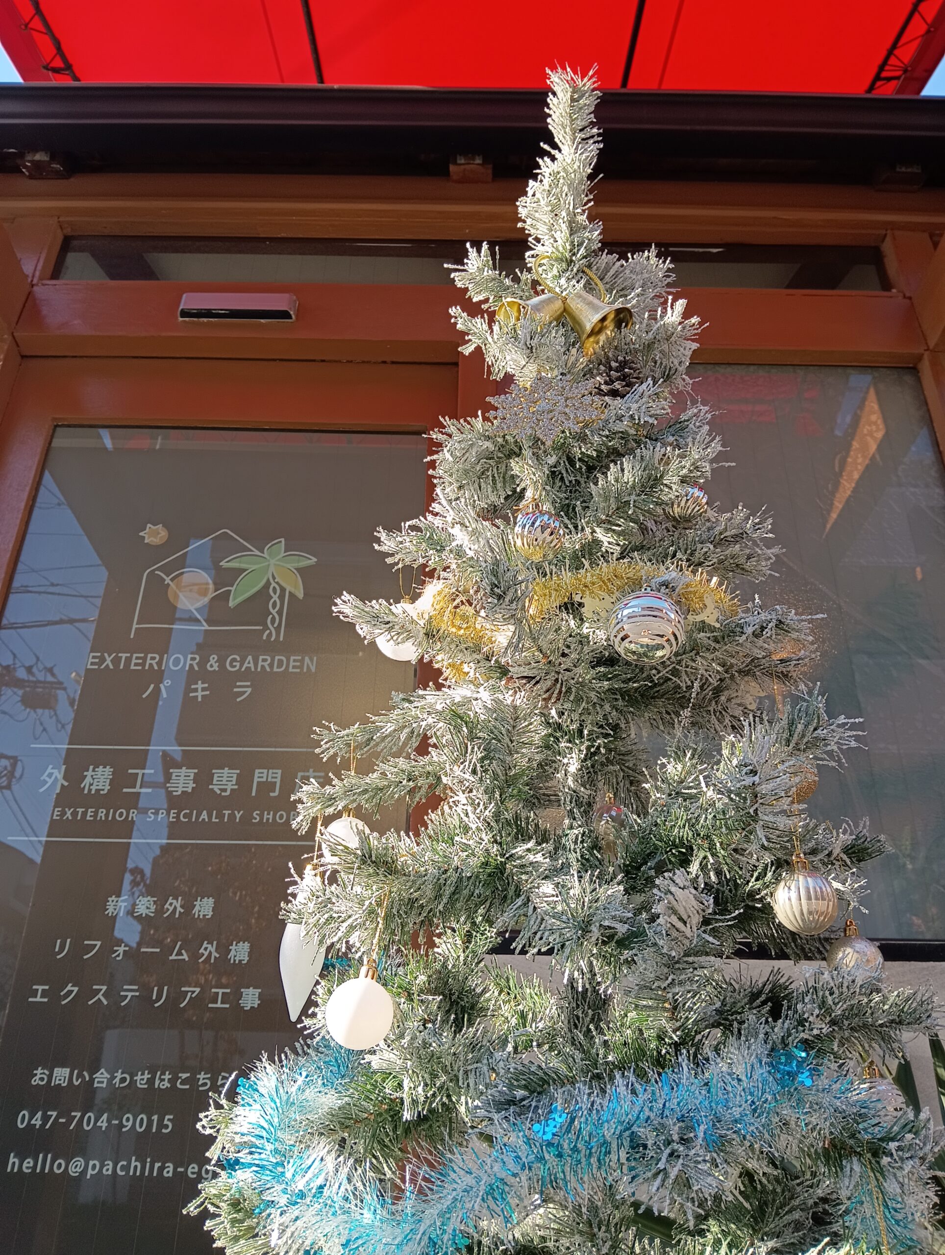 クリスマスツリーを飾りました🎄