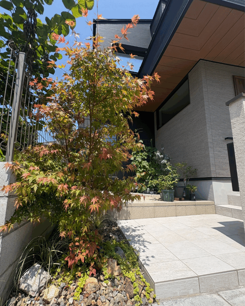 ガーデニングに家庭菜園に。植物との暮らしを楽しむ新築外構
