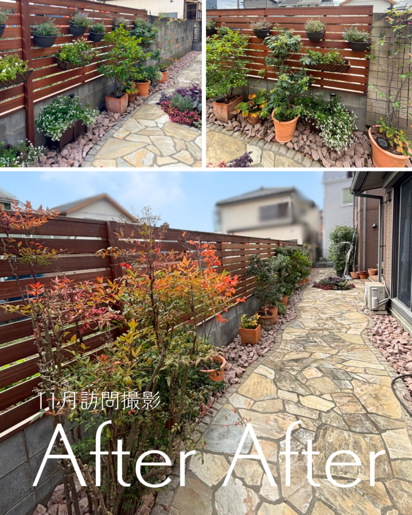 植物との暮らし。ガーデニングを楽しむ外構リノベーション