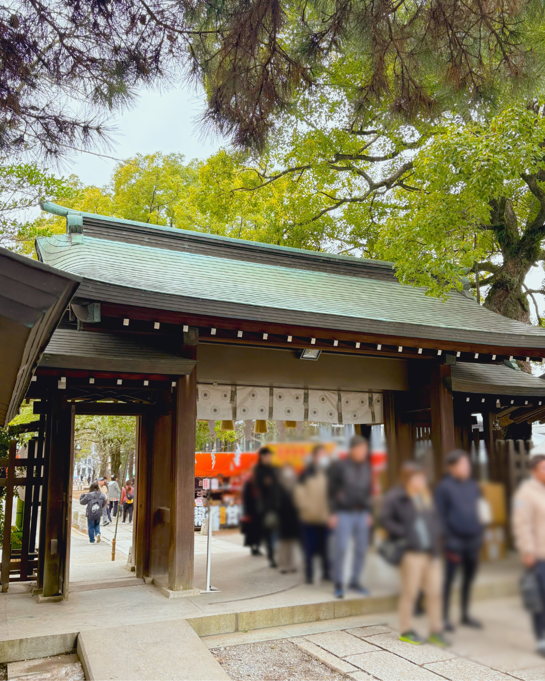 たくさんの素晴らしいご縁を！今年もお参りからスタート